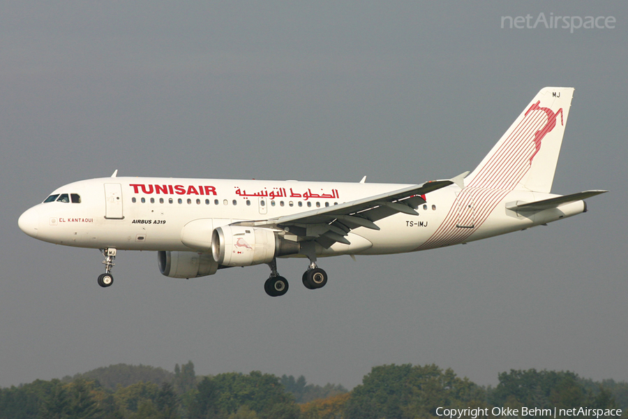 Tunisair Airbus A319-114 (TS-IMJ) | Photo 53971