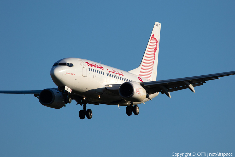 Tunisair Boeing 737-6H3 (TS-IOL) | Photo 250111