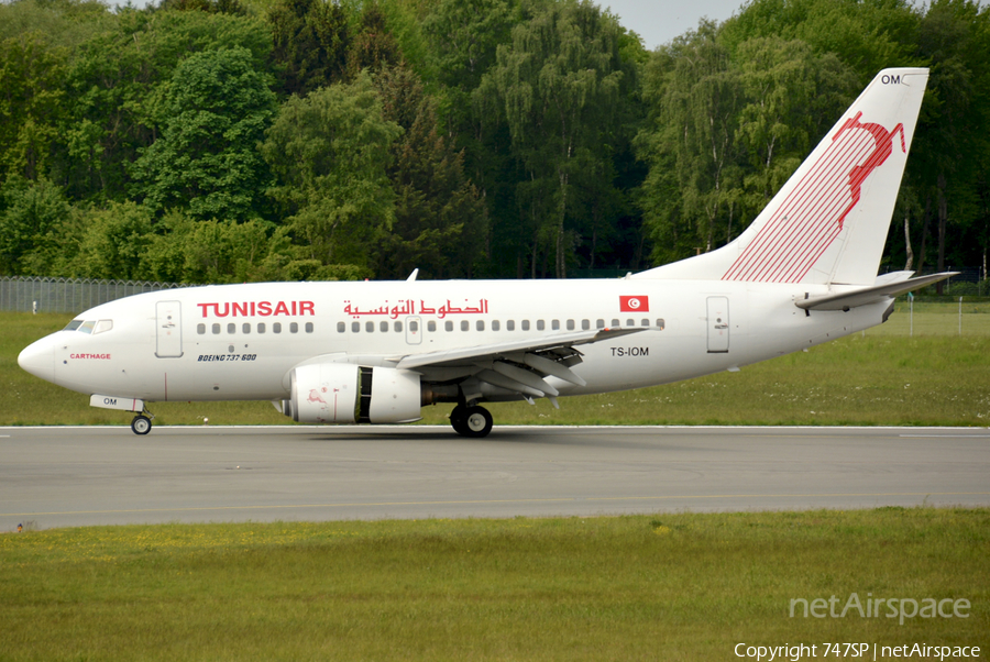 Tunisair Boeing 737-6H3 (TS-IOM) | Photo 105356
