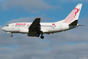 Tunisair Boeing 737-6H3 (TS-ION) at  Brussels - International, Belgium