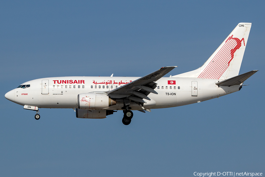 Tunisair Boeing 737-6H3 (TS-ION) | Photo 238358