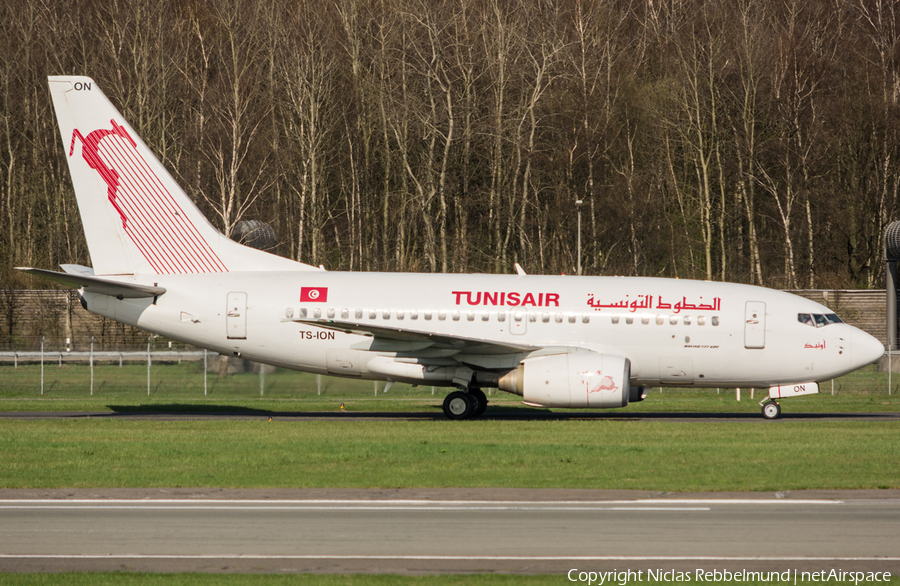 Tunisair Boeing 737-6H3 (TS-ION) | Photo 238487