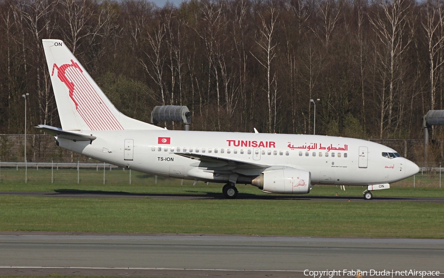 Tunisair Boeing 737-6H3 (TS-ION) | Photo 274266