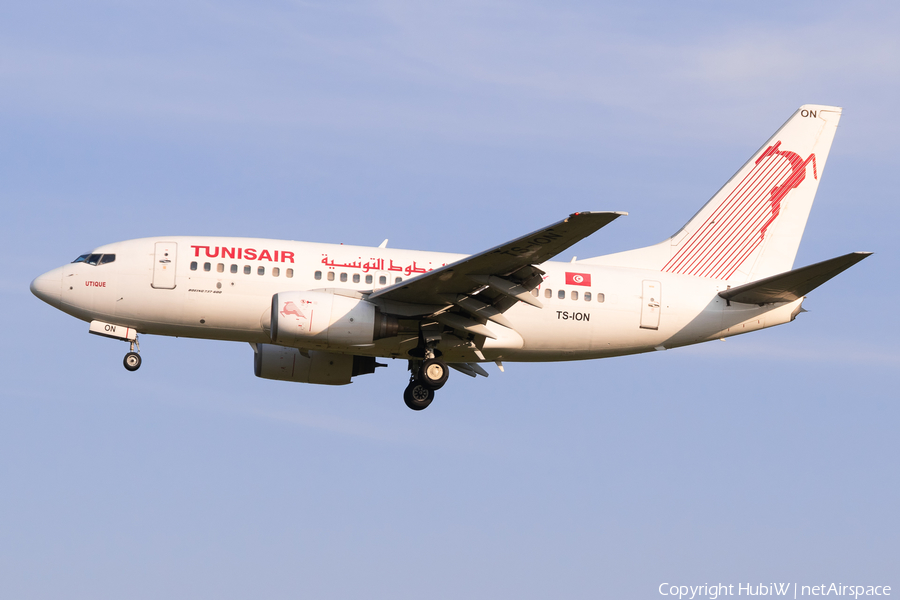 Tunisair Boeing 737-6H3 (TS-ION) | Photo 435861
