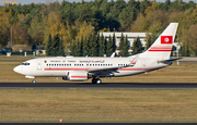 Tunisian Government Boeing 737-7H3(BBJ) (TS-IOO) at  Berlin - Tegel, Germany