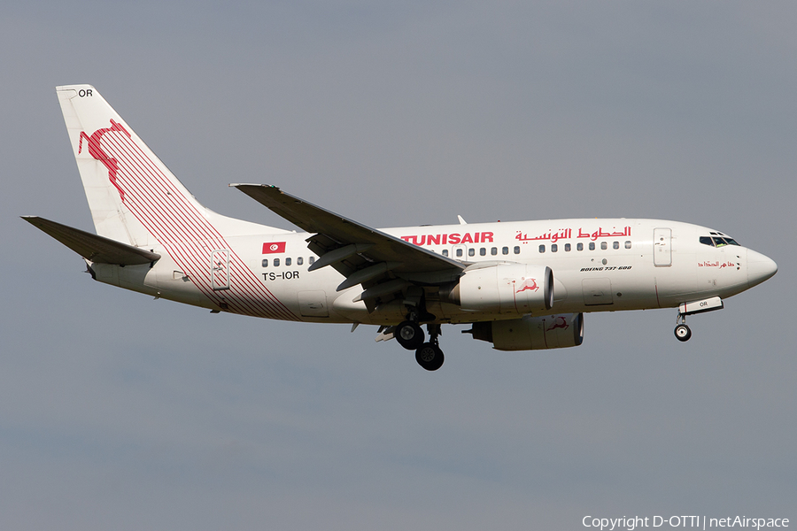 Tunisair Boeing 737-6H3 (TS-IOR) | Photo 299594