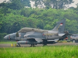 Indonesian Air Force (TNI-AU) BAe Systems Hawk 209 (TT-0224) at  Palembang - Sultan Mahmud Badaruddin II International, Indonesia