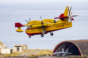 Spanish Air Force (Ejército del Aire) Canadair CL-215T (UD.13-30) at  Gran Canaria, Spain