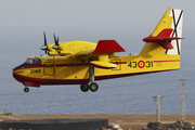 Spanish Air Force (Ejército del Aire) Canadair CL-415 (UD.14-01) at  Tenerife Sur - Reina Sofia, Spain