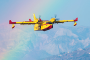 Spanish Air Force (Ejército del Aire) Canadair CL-415 (UD.14-02) at  Malaga, Spain