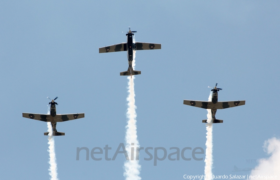 Mexican Air Force (Fuerza Aerea Mexicana) Raytheon T-6C Texan II (UNKNOWN) | Photo 93572