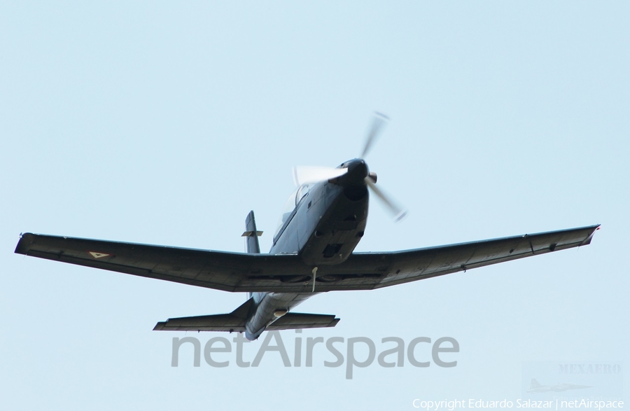 Mexican Air Force (Fuerza Aerea Mexicana) Raytheon T-6C Texan II (UNKNOWN) | Photo 93606