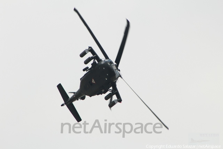 Mexican Air Force (Fuerza Aerea Mexicana) Sikorsky UH-60L Black Hawk (UNKNOWN) | Photo 92288