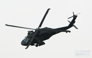 Mexican Air Force (Fuerza Aerea Mexicana) Sikorsky UH-60L Black Hawk (UNKNOWN) at  Mexico City - Santa Lucia, Mexico
