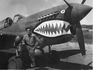 United States Air Force Curtiss P-40 Tomahawk I (UNKNOWN) at  UNKNOWN, (None / Not specified)