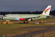 Tibet Airlines Airbus A319-153N (UNMARKED) at  Hamburg - Finkenwerder, Germany