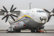 Antonov Airlines Antonov An-22A (UR-09307) at  Leipzig/Halle - Schkeuditz, Germany