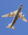 Antonov Design Bureau Antonov An-124-100 Ruslan (UR-82007) at  San Jose - Juan Santamaria International, Costa Rica