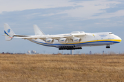 Antonov Airlines Antonov An-225 (UR-82060) at  Leipzig/Halle - Schkeuditz, Germany