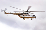 Ukrainian Helicopters Mil Mi-8MTV-1 Hip-H (UR-HLA) at  Gran Canaria, Spain