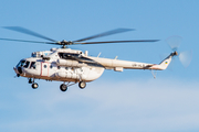 Ukrainian Helicopters Mil Mi-8MTV-1 Hip-H (UR-HLB) at  Gran Canaria, Spain