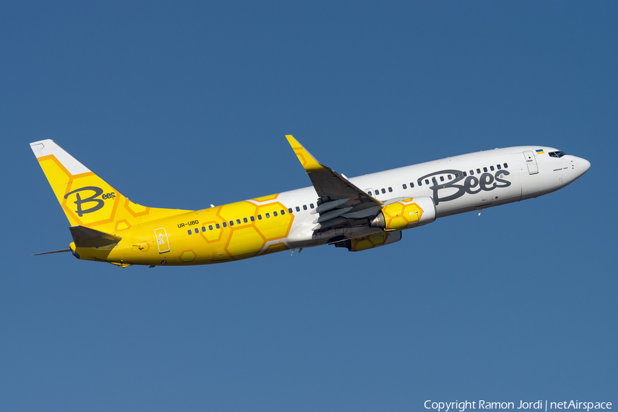 Bees Airline Boeing 737-8HX (UR-UBD) | Photo 489355