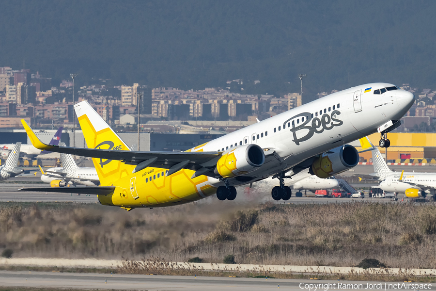 Bees Airline Boeing 737-8HX (UR-UBD) | Photo 489356