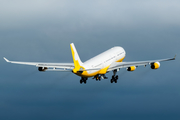 Royal Brunei Airlines Airbus A340-212 (V8-001) at  Hamburg - Fuhlsbuettel (Helmut Schmidt), Germany