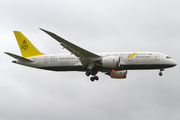 Royal Brunei Airlines Boeing 787-8 Dreamliner (V8-DLA) at  London - Heathrow, United Kingdom