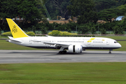 Royal Brunei Airlines Boeing 787-8 Dreamliner (V8-DLA) at  Singapore - Changi, Singapore