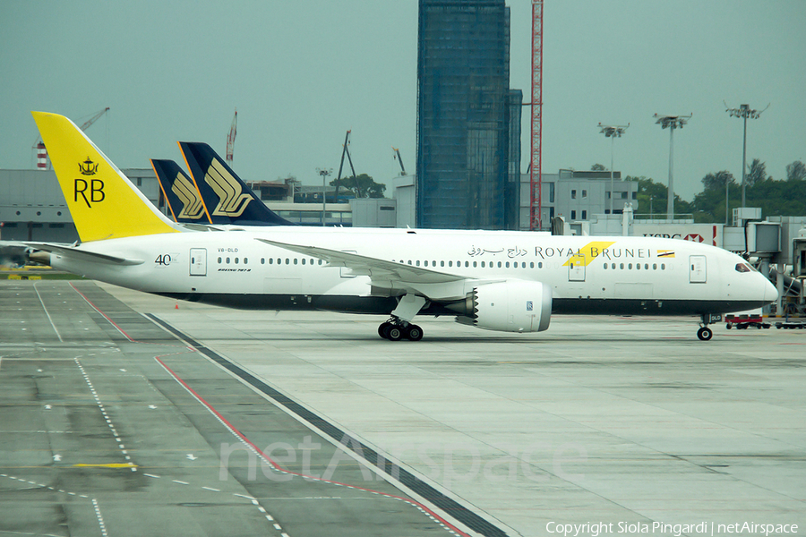 Royal Brunei Airlines Boeing 787-8 Dreamliner (V8-DLD) | Photo 358815