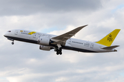 Royal Brunei Airlines Boeing 787-8 Dreamliner (V8-DLE) at  London - Heathrow, United Kingdom