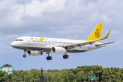 Royal Brunei Airlines Airbus A320-232 (V8-RBX) at  Denpasar/Bali - Ngurah Rai International, Indonesia