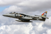 Spanish Navy (Armada Española) McDonnell Douglas EAV-8B Matador II+ (VA.1B-16) at  RAF Fairford, United Kingdom