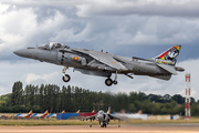Spanish Navy (Armada Española) McDonnell Douglas AV-8B Harrier II + (VA.1B-24) at  RAF Fairford, United Kingdom