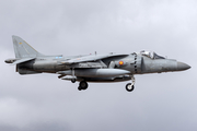 Spanish Navy (Armada Española) McDonnell Douglas EAV-8B Matador II+ (VA.1B-26) at  Gran Canaria, Spain