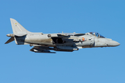 Spanish Navy (Armada Española) McDonnell Douglas EAV-8B Matador II+ (VA.1B-29) at  Lleida–Alguaire, Spain