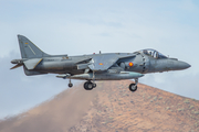 Spanish Navy (Armada Española) McDonnell Douglas EAV-8B Matador II+ (VA.1B-36) at  Gran Canaria, Spain