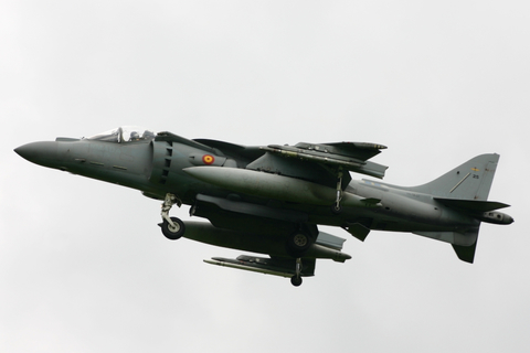 Spanish Navy (Armada Española) McDonnell Douglas AV-8B Harrier II + (VA.1B-37) at  Florennes AFB, Belgium