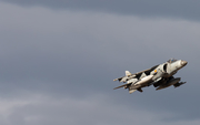 Spanish Navy (Armada Española) McDonnell Douglas EAV-8B Matador II+ (VA.1B-38) at  Madrid - Torrejon, Spain