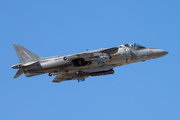 Spanish Navy (Armada Española) McDonnell Douglas EAV-8B Matador II+ (VA.1B-39) at  Zaragoza, Spain