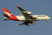 Qantas Airbus A380-842 (VH-OQB) at  Singapore - Changi, Singapore