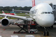 Qantas Airbus A380-842 (VH-OQE) at  Singapore - Changi, Singapore