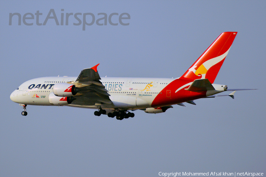 Qantas Airbus A380-842 (VH-OQH) | Photo 118226