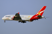 Qantas Airbus A380-842 (VH-OQH) at  Dubai - International, United Arab Emirates
