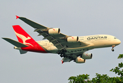 Qantas Airbus A380-842 (VH-OQL) at  Singapore - Changi, Singapore