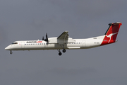 QantasLink (Sunstate Airlines) Bombardier DHC-8-402Q (VH-QOC) at  Sydney - Kingsford Smith International, Australia