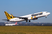 Tigerair Australia Boeing 737-8FE (VH-YVA) at  Sydney - Kingsford Smith International, Australia