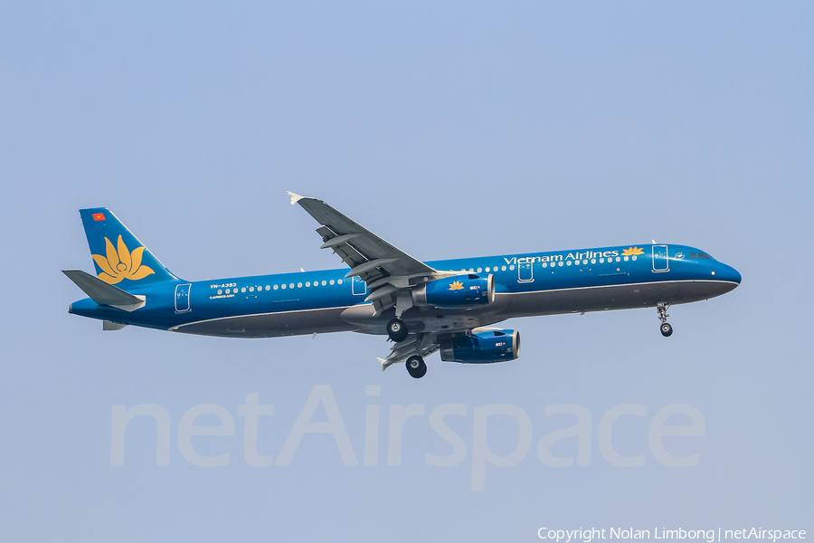 Vietnam Airlines Airbus A321-231 (VN-A393) | Photo 369062