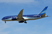 Azerbaijan Airlines Boeing 787-8 Dreamliner (VP-BBS) at  Dallas/Ft. Worth - International, United States